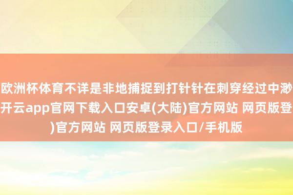 欧洲杯体育不详是非地捕捉到打针针在刺穿经过中渺小的力的变化-开云app官网下载入口安卓(大陆)官方网站 网页版登录入口/手机版